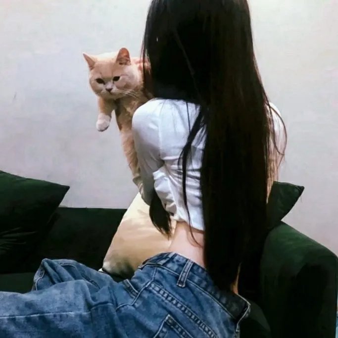 佩尼特环游世界的爱